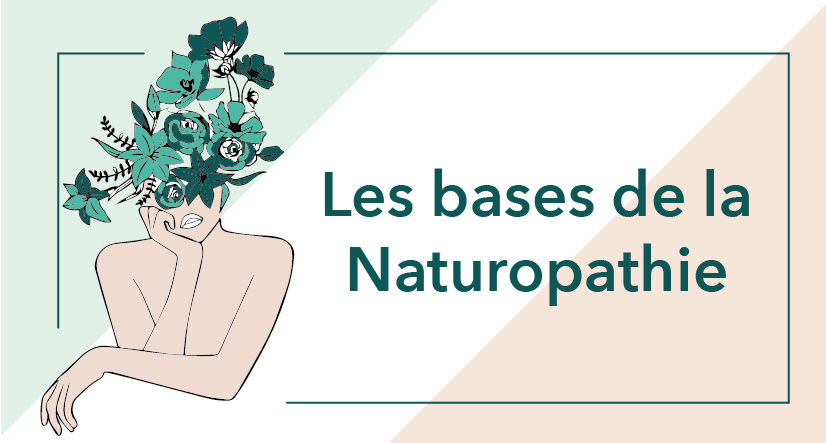 Cycle 1 – Module 1 – Les bases de la naturopathie
