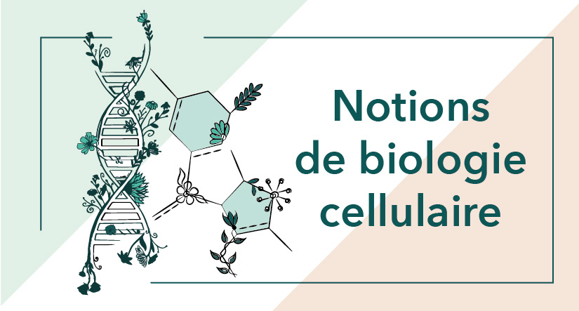 Cycle 1 – Module 2 Notions de biologie cellulaire