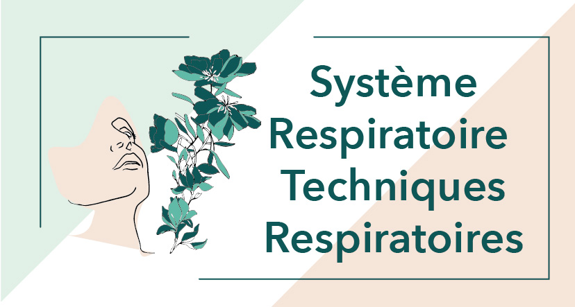 Cycle 1 – Module 3 Système et techniques respiratoires