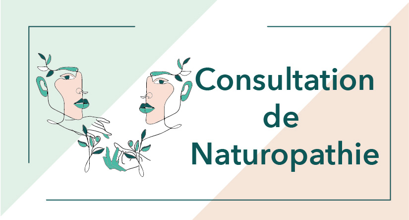 Cycle 1 – Module 4 Consultation de Naturopathie